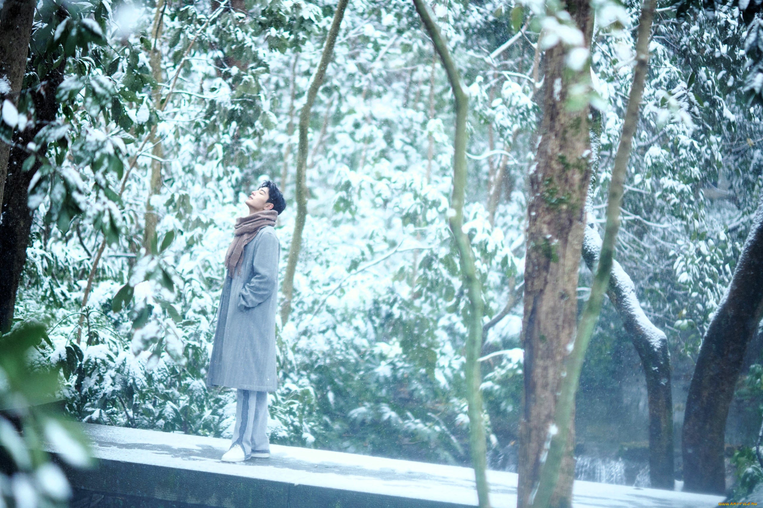 , xiao zhan, , , , , 